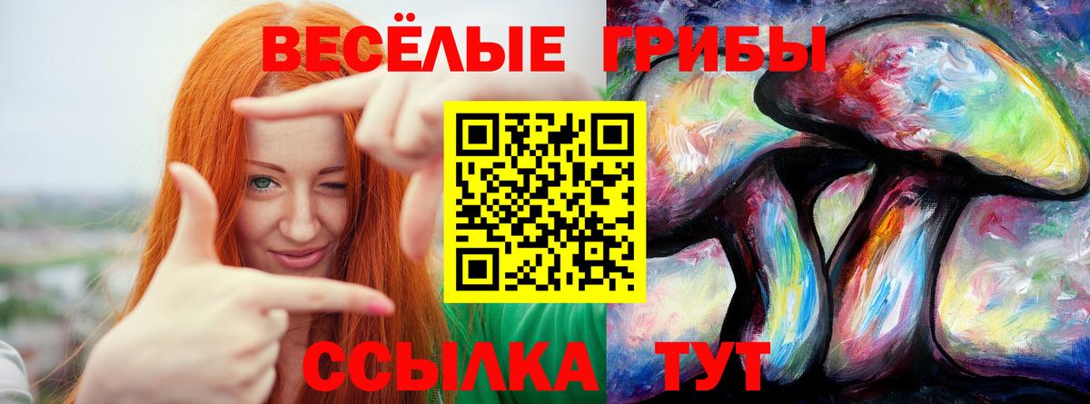 Галлюциногенные грибы Cubensis Воткинск